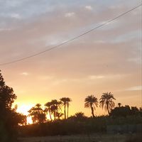 Badawy Foaad's Photo