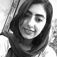 Yekta Najibi的照片