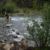 Monika Wanat's Photo