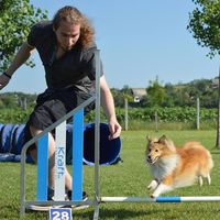 Gábor Csiki's Photo