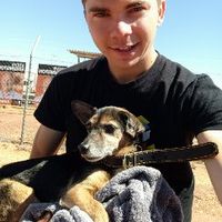 Daan Verkuijlen's Photo