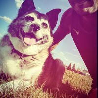 Steffen Heinrich's Photo