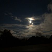 Mohamad Alizadeh的照片