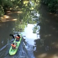 Portenia de CABA's Photo