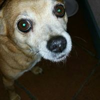 Fabio Campailla's Photo