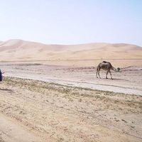 Jude Skipwith的照片