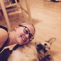 Фотографии пользователя Stephanie Beel