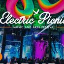 Bilder von Electric Picnic 