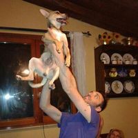 Simone Parafioriti Barfucci的照片