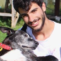 Olivier Barroso's Photo