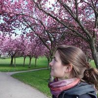 Johanna Walchshofer的照片