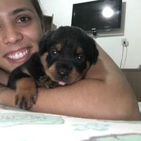 Фотографии пользователя Querulla Marque