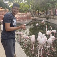 Mohamed Elarab's Photo