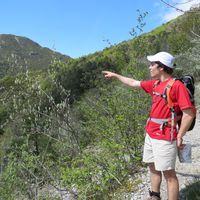 Martin Saulnier的照片