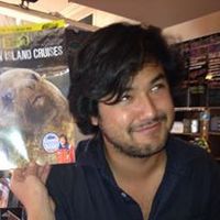 anthony stark的照片