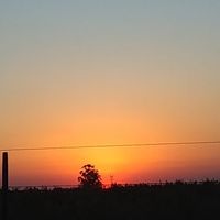 Ana Williman的照片