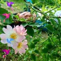 Chiara Conti's Photo