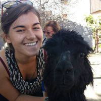 Martyna Dobrowolska的照片