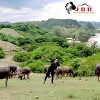 JIELLY  PRATAMA的照片