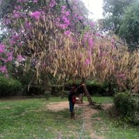 Aaditya Suresh的照片