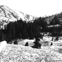 Lalita Arora的照片