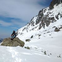 Nicolò Rossi的照片