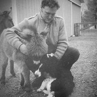 Casey Anderson's Photo