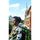 Bruno Salazar's Photo