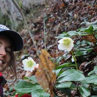 Andrea Hörmann's Photo