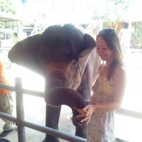 Elin Andreeva的照片