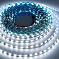 Creative Ways Illuminate's Photo