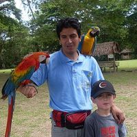 Carlos Garzon的照片