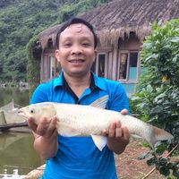 Hai Tran xuan's Photo