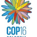 Meeting COP16 Cali's picture