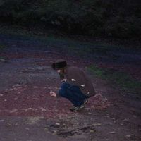 Libellule Bleu's Photo