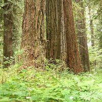 Matty and Cath's Photo