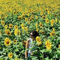 Fotos de Annelise Auger