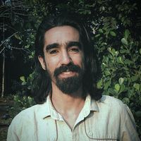 Zdjęcia użytkownika Damian Dominguez