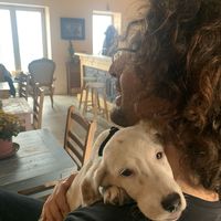 MEHMET OZDEMIR's Photo