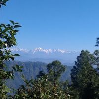 Chandu Jeena's Photo