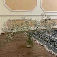 Zhansaya Amangeldiyeva's Photo