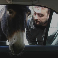 Fotos von Finchi  Fínchez