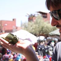 Alberto Ranzini的照片