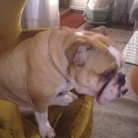 Nacho Baltasar的照片