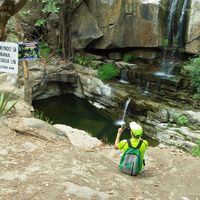 Rey Stewart Alvarado J的照片