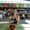 Alondra Meraz's Photo