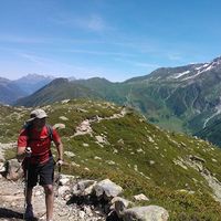 Nicolas Taba的照片