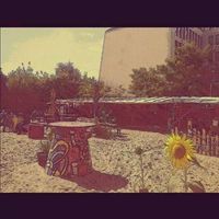 Martina Facchini的照片