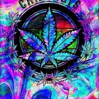 Fotos de Jennifer Armstrong