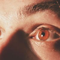 Finn Fekete的照片